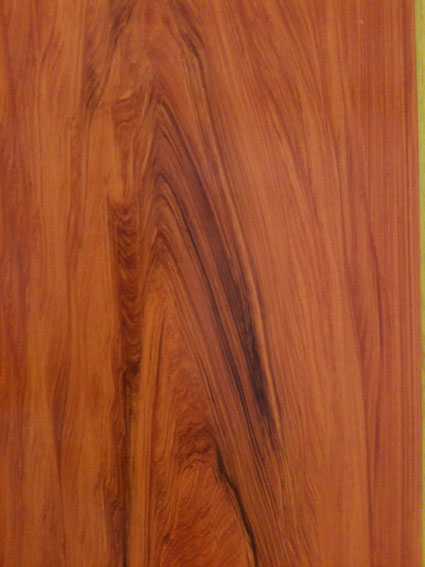 11 Detail teak panel 2.JPG