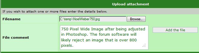 Including an image file into a post is no harder than attaching a file to an email. Just navigate to it using the Browse button, and then hit the Add the File button. The file comment is optional.