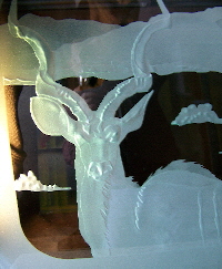 kudu4.jpg