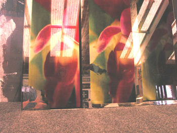 MirrorPrint3.jpg
